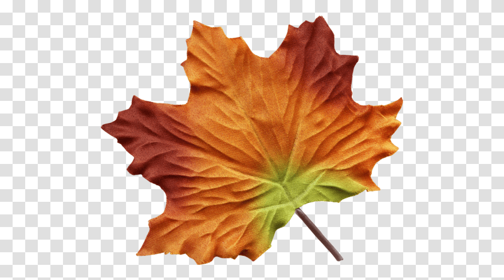 Maple Leaves Watercolor Painting, Leaf, Plant, Tree, Maple Leaf Transparent Png