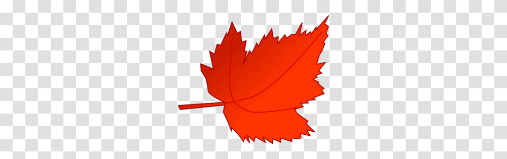 Maple Red Leaf Clip Art, Plant, Maple Leaf, Tree Transparent Png