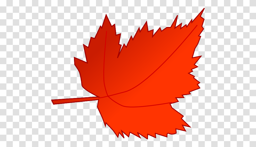 Maple Red Leaf Clip Art, Plant, Tree, Maple Leaf Transparent Png