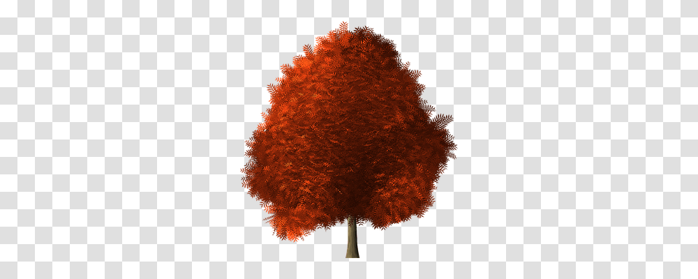 Maple Tree Nature, Plant, Ornament, Bonfire Transparent Png