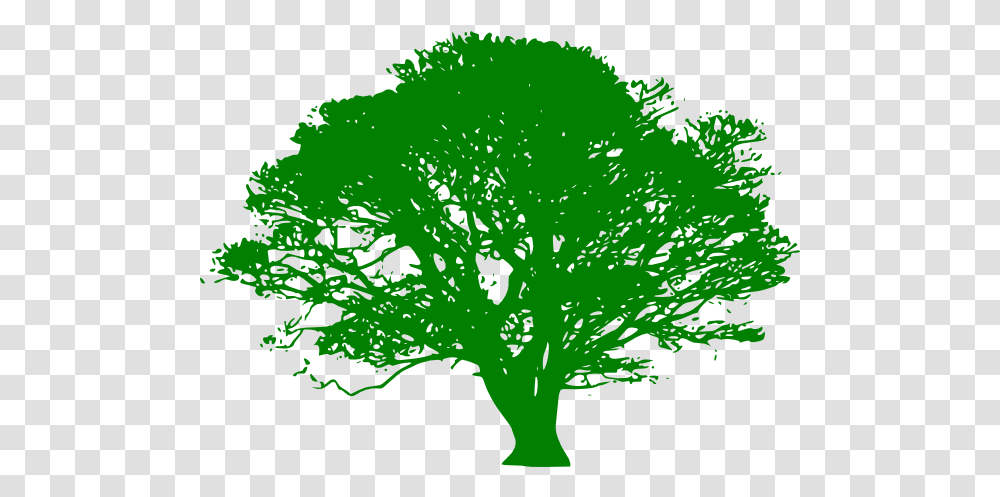 Maple Tree 900px Large Size Clip Arts Free And Vector Tree Black And White, Plant, Green, Bush, Vegetation Transparent Png