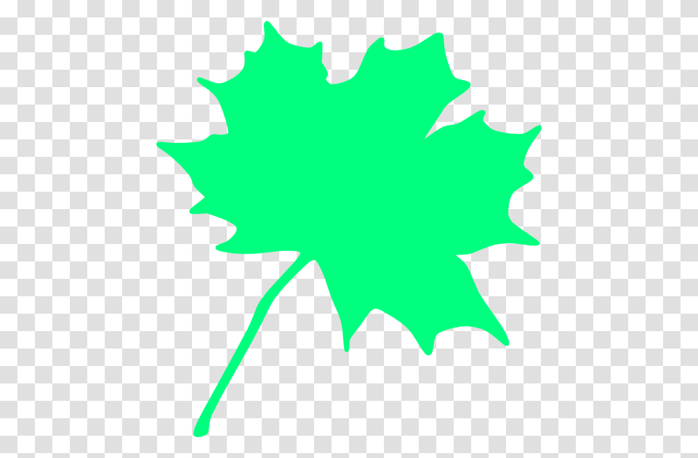 Maple Tree Bit Clip Art, Leaf, Plant, Maple Leaf Transparent Png