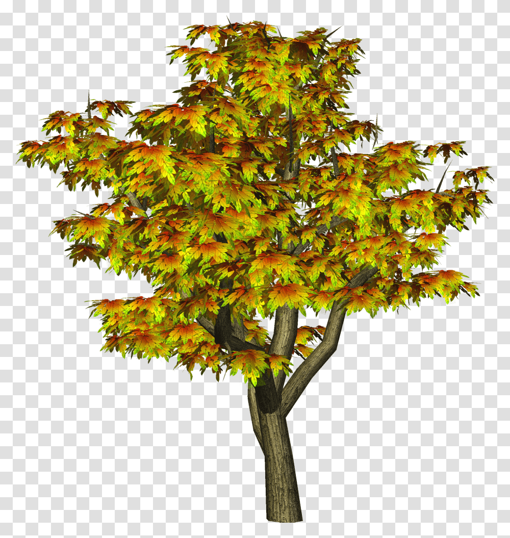 Maple Tree Clipart Freeuse Files All Photo Editing, Plant, Leaf Transparent Png
