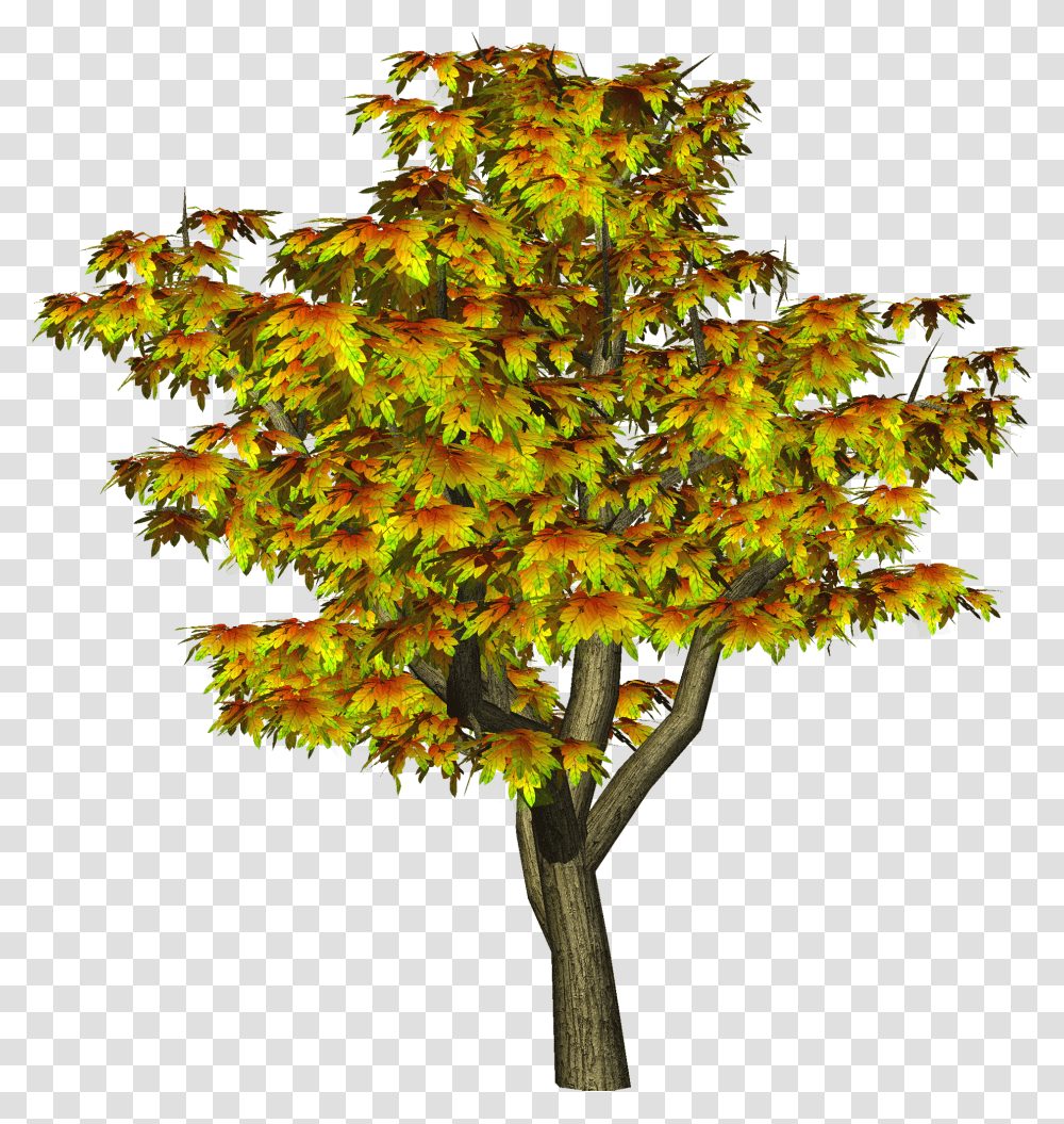 Maple Tree Clipart Jpg Royalty Free Library Autumn Autumn Tree Hd, Plant, Leaf, Tree Trunk, Plot Transparent Png
