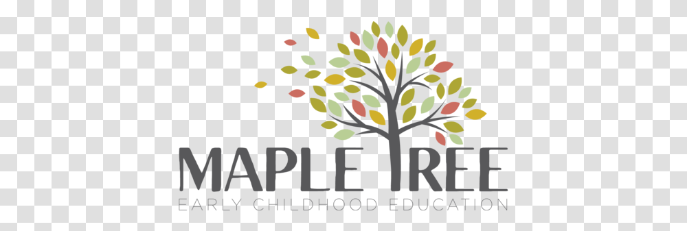 Maple Tree Education Illustration, Graphics, Art, Floral Design, Pattern Transparent Png
