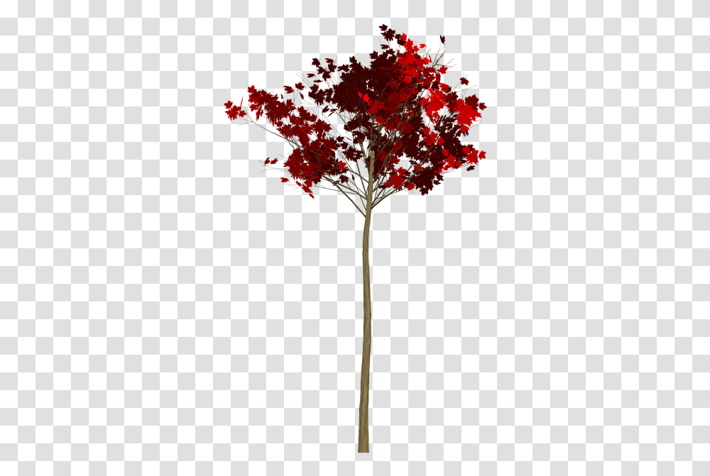 Maple Tree Painted Maple Leaf, Plant, Cross, Symbol Transparent Png