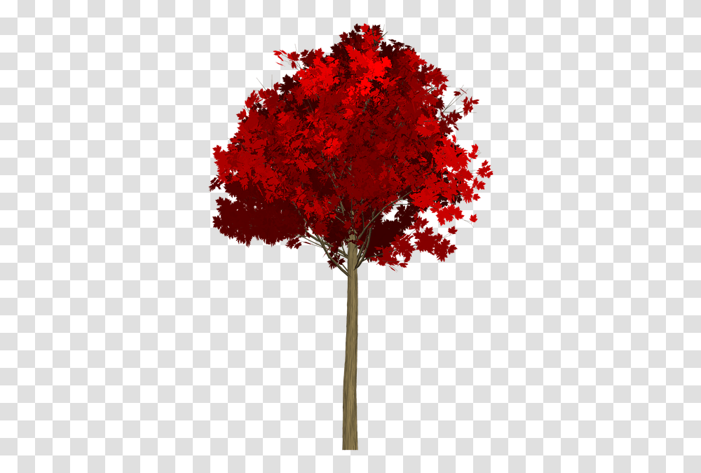 Maple Tree Painted Tree Red Nature Image Painting Tree Red, Plant, Leaf, Cross Transparent Png