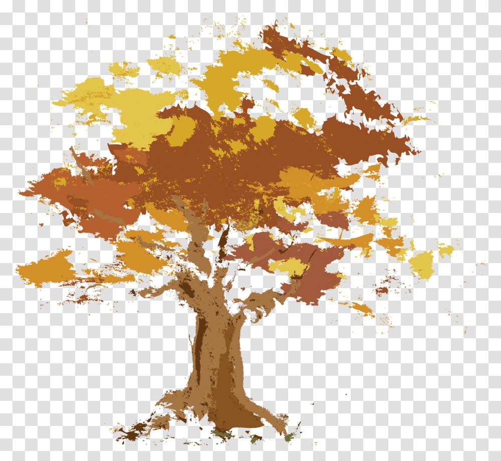 Maple, Tree, Plant, Oak, Sunlight Transparent Png