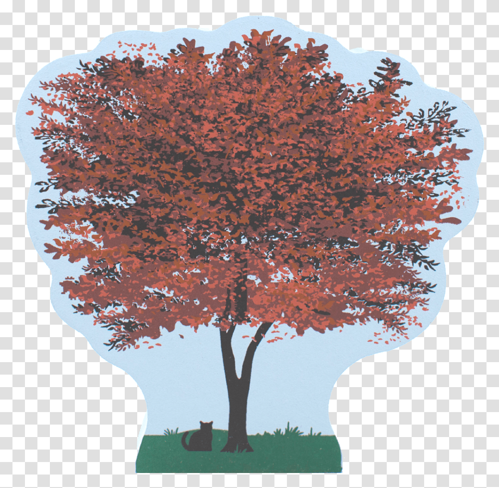 Maple, Tree, Plant, Rug Transparent Png