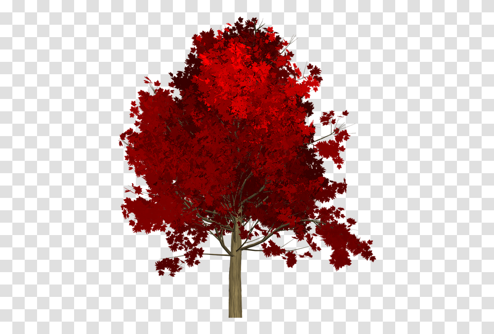 Maple Tree Red Painted Red Tree, Plant, Leaf, Cross, Symbol Transparent Png