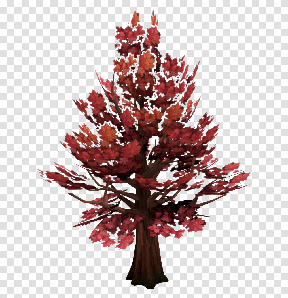 Maple Tree Runescape Wiki Fandom Runescape 3 Maple Tree Locations, Plant, Flower, Blossom, Leaf Transparent Png