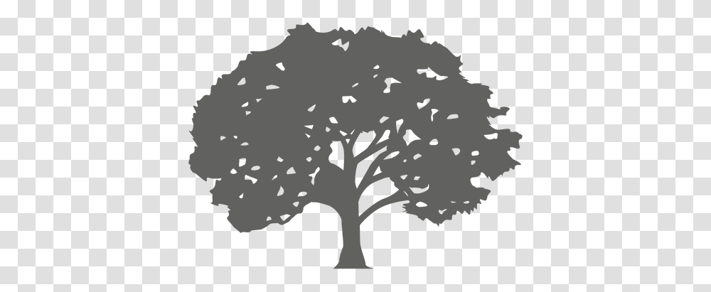 Maple Tree Silhouette 1 & Svg Vector File Maple Tree Silhouette, Plant, Bird, Animal, Stencil Transparent Png
