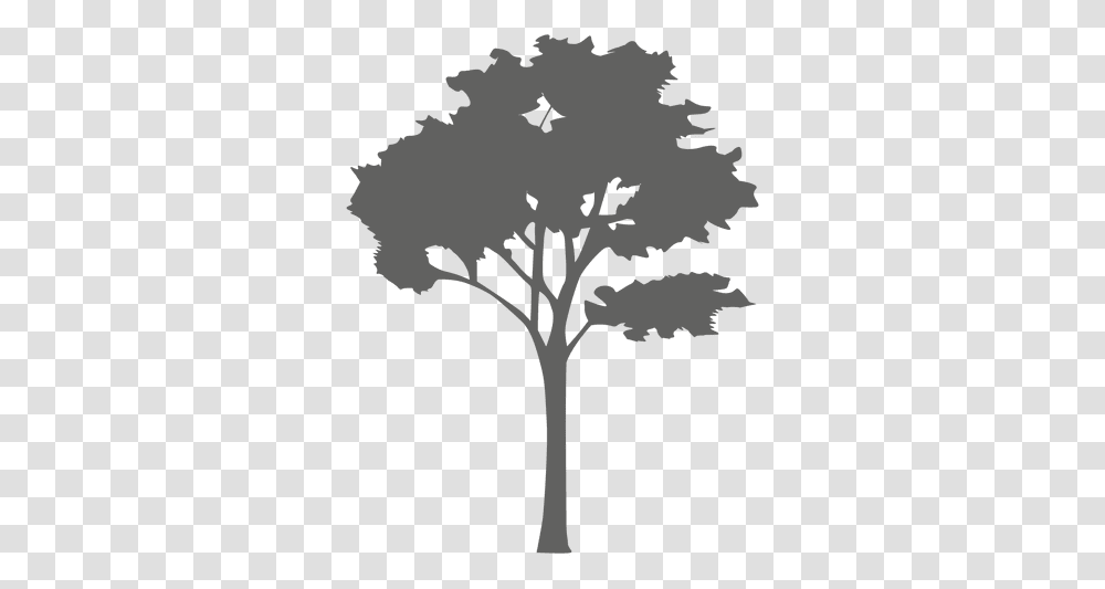 Maple Tree Silhouette 2 Free Vector Trees, Plant, Cross, Symbol, Stencil Transparent Png