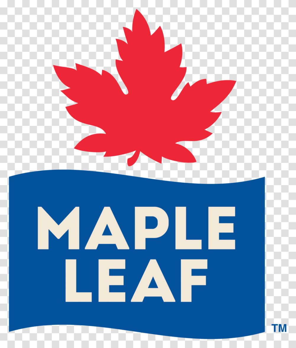 Mapleleaf Logo Pms Tm, Plant, Poster, Advertisement, Maple Leaf Transparent Png