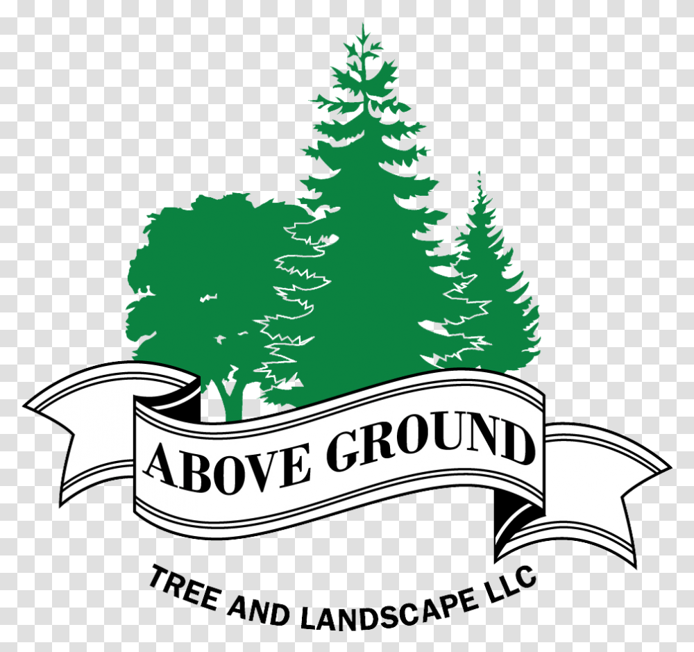 Maplewood Tree Removal Cost Christmas Tree, Plant, Vegetation, Pine, Fir Transparent Png