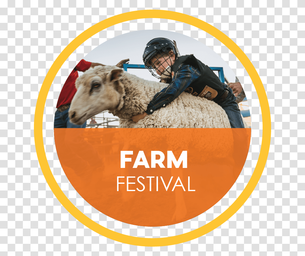 Marana Farm Festival, Helmet, Person, Mammal, Animal Transparent Png