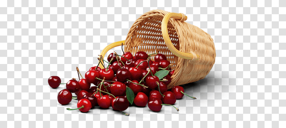 Marbery Organic Cerezas En Canasta, Plant, Basket, Fruit, Food Transparent Png