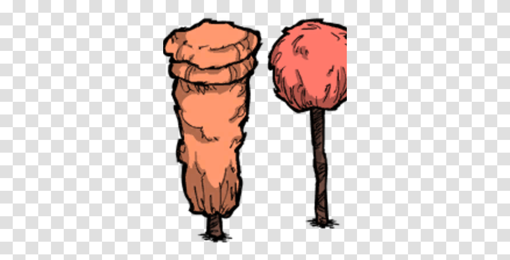 Marble Tree Don't Starve Game Wiki Fandom Tree, Plant, Carrot, Vegetable, Food Transparent Png