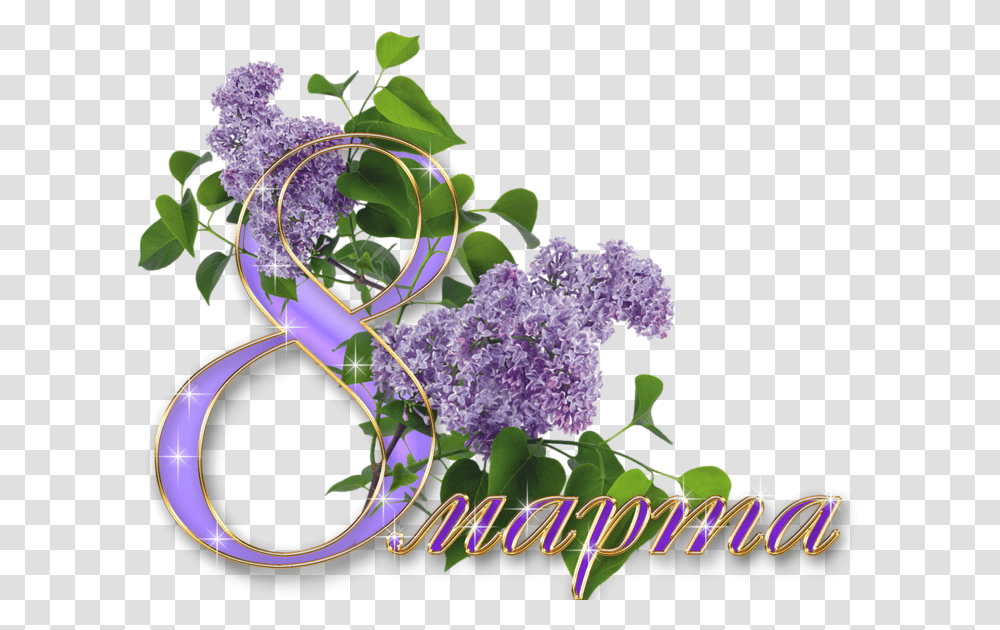 March 8 Marca, Plant, Flower, Blossom, Lilac Transparent Png