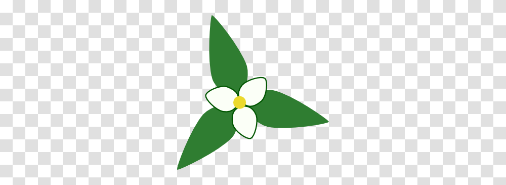 March Clip Art, Plant, Petal, Flower, Blossom Transparent Png