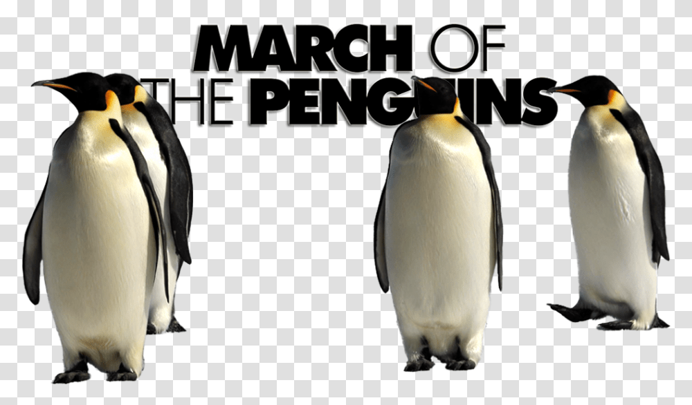March Of The Penguins, Bird, Animal, King Penguin Transparent Png