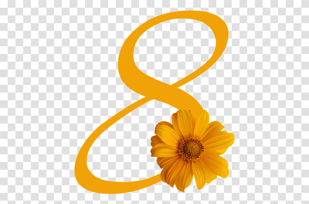 March Woman Day, Plant, Sunflower, Blossom, Daisy Transparent Png