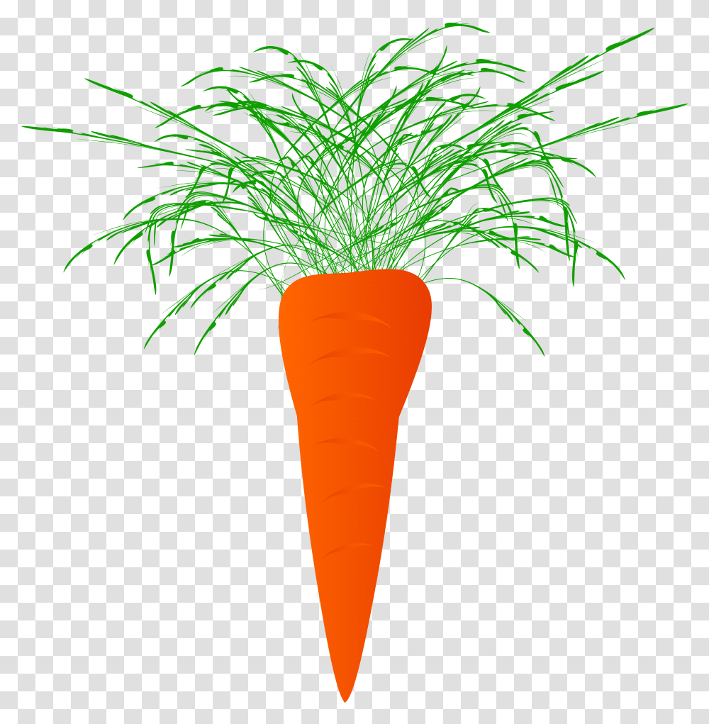Marchewka Clipart Carrot, Plant, Vegetable, Food, Vegetation Transparent Png