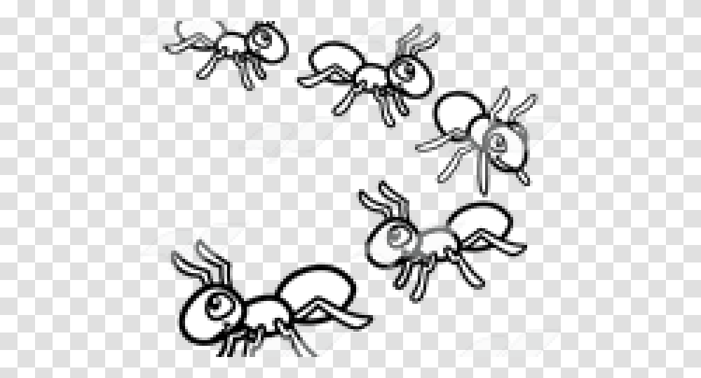 Marching Ants Cliparts, Animal, Insect, Invertebrate, Stencil Transparent Png