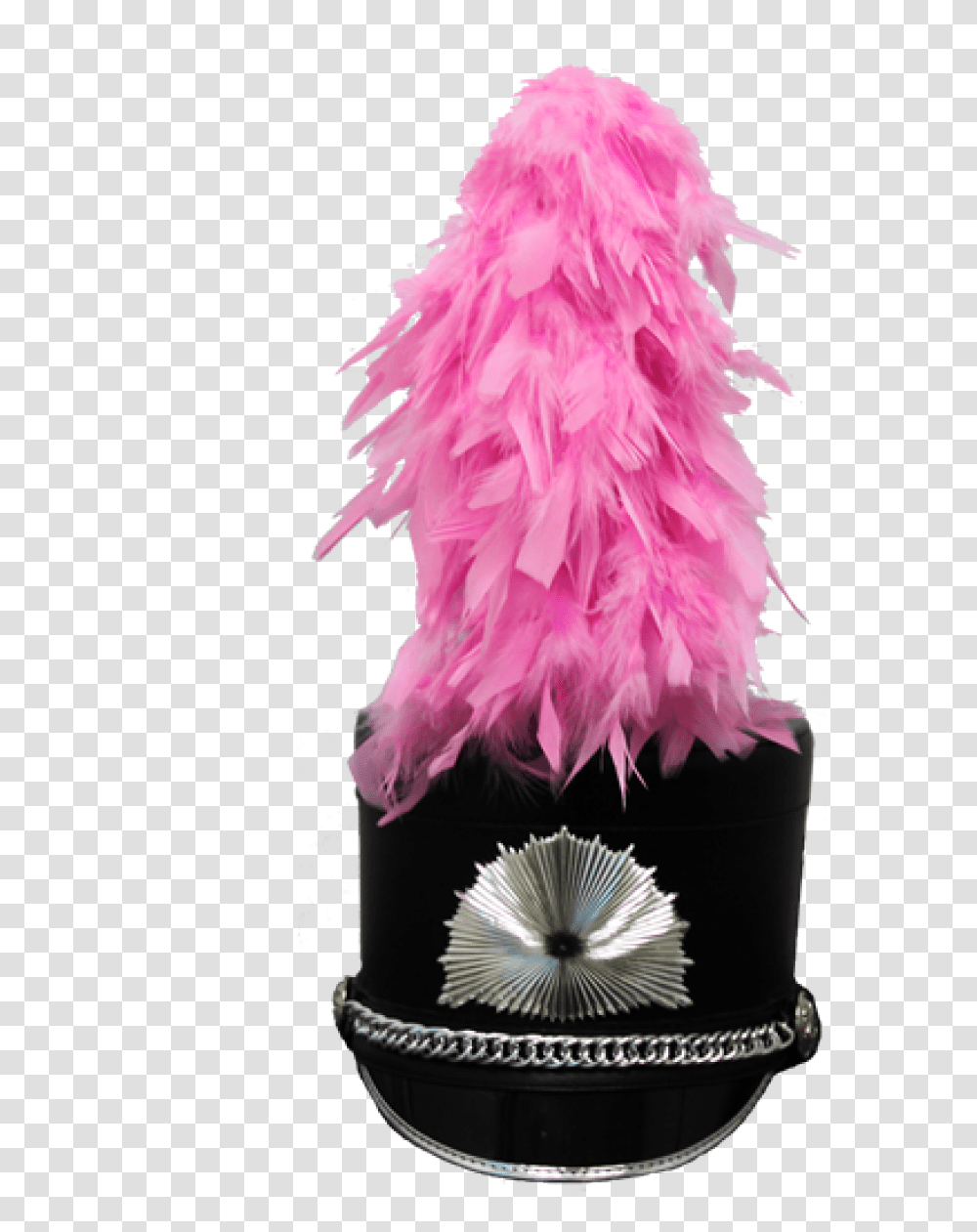 Marching Band Pink Plumes, Apparel, Scarf, Feather Boa Transparent Png