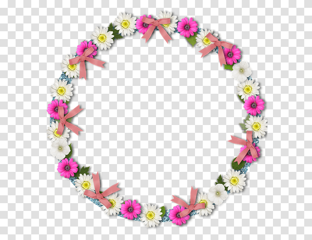 Marco Circular Rosa, Plant, Flower, Blossom, Petal Transparent Png