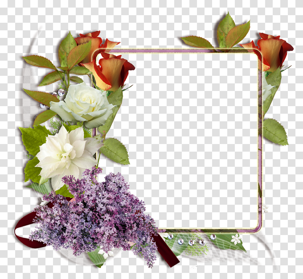 Marco De Boda, Plant, Flower, Blossom, Flower Arrangement Transparent Png