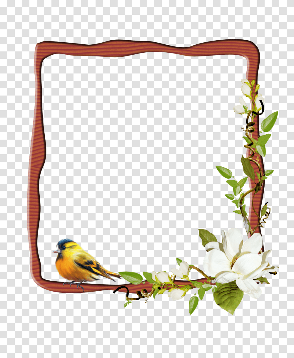 Marco Para Personalizar Con Tu Foto Frames Frame, Bird, Animal, Canary, Plant Transparent Png