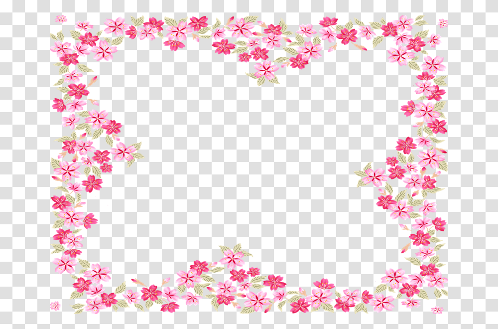 Marco Sakura, Plant, Flower, Blossom, Petal Transparent Png