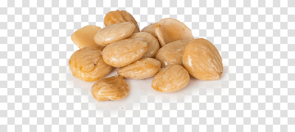 Marcona Almonds Almond, Plant, Nut, Vegetable, Food Transparent Png