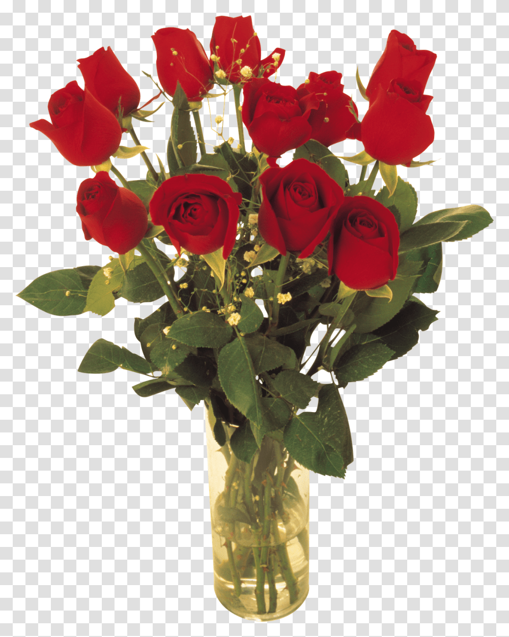 Marcos Gratis Para Fotos Red Roses, Plant, Flower, Blossom, Flower Bouquet Transparent Png