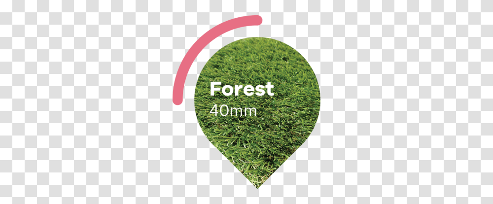 Mardigrass Lawn, Plant, Moss, Vegetation, Land Transparent Png