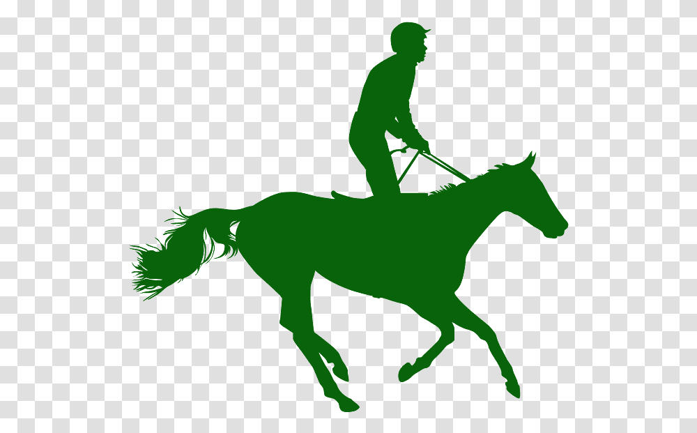 Mare, Horse, Mammal, Animal, Silhouette Transparent Png