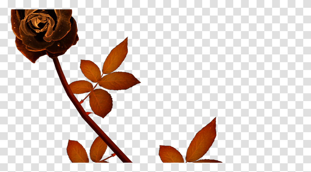 Marfi Topia Dia De Muertos, Leaf, Plant, Acanthaceae, Flower Transparent Png