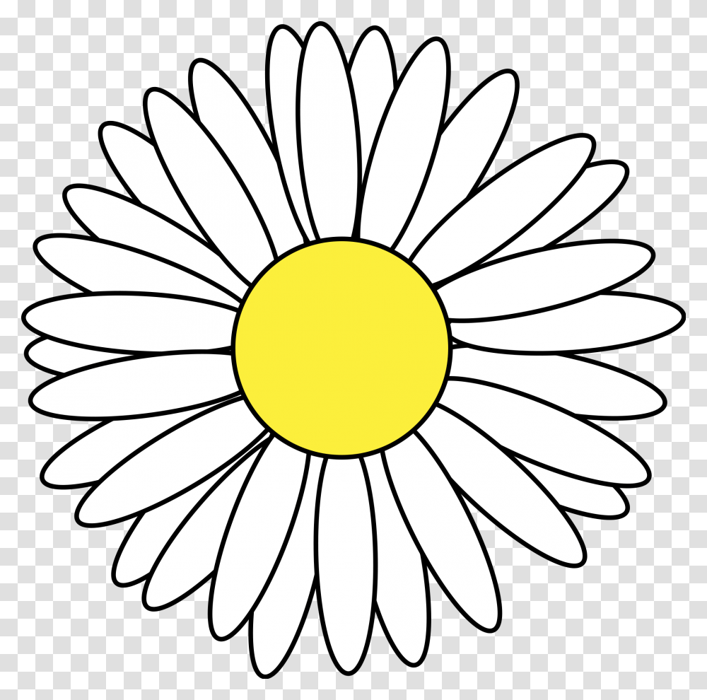 Margarita Vector Daisy Flower Cartoon, Plant, Daisies, Blossom, Petal Transparent Png