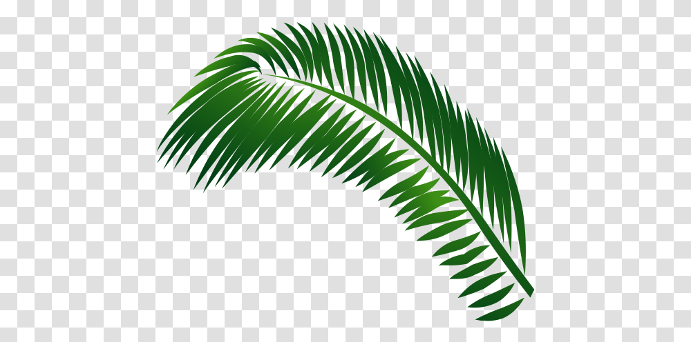 Margaritaville Caribbean Vertical, Leaf, Plant, Green, Fern Transparent Png