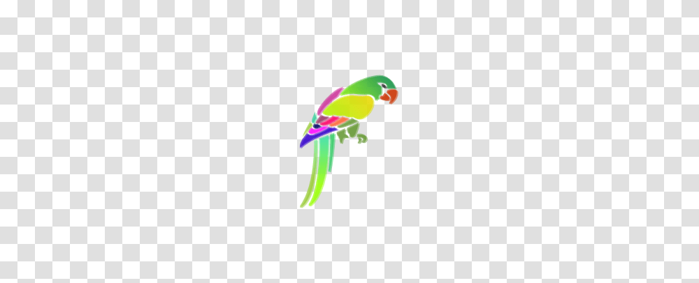 Margaritaville Parrot Logo, Bird, Animal, Macaw, Parakeet Transparent Png