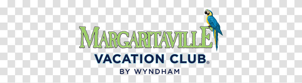 Margaritaville Vacation Club Margaritaville Vacation Club By Wyndham Logo, Alphabet, Text, Word, Bird Transparent Png