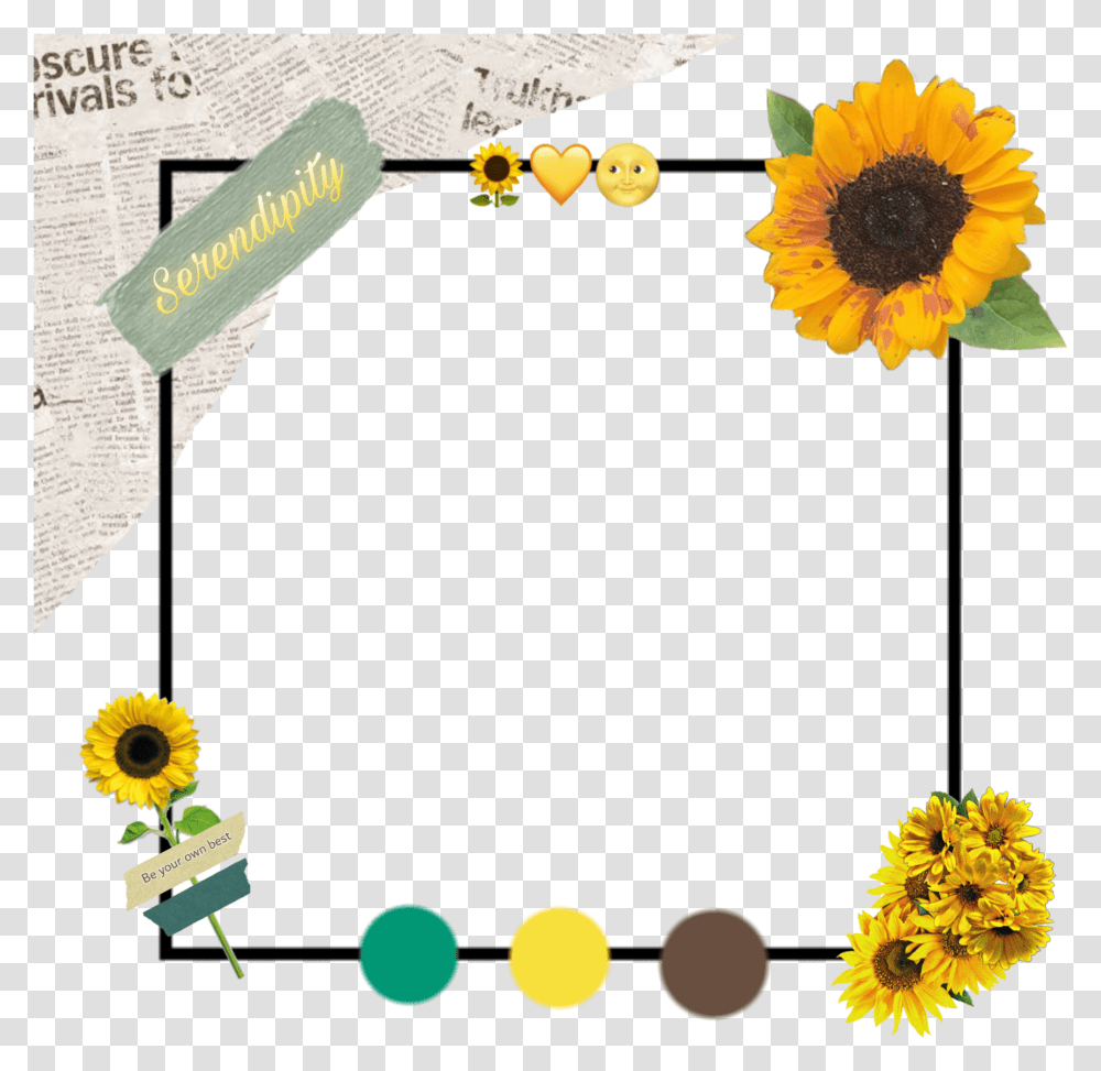 Margin Pngs Flowers Flower Sticker Sunflower, Plant, Blossom, Text, Art Transparent Png