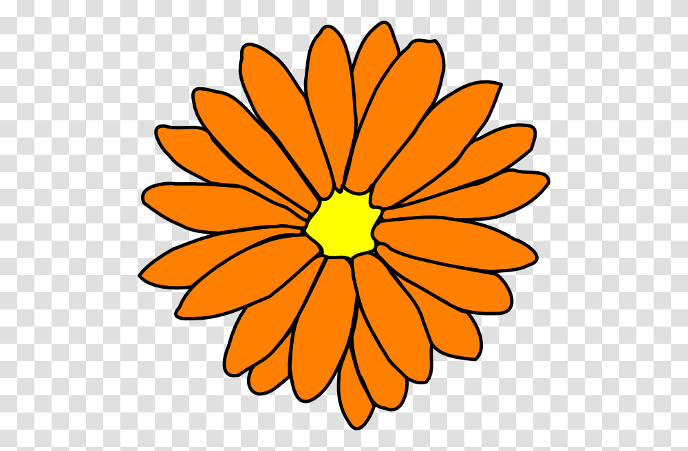 Marigold Clipart Orange Flower, Plant, Blossom, Daisy, Daisies Transparent Png