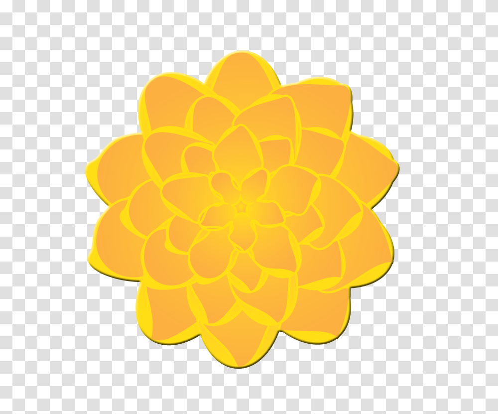 Marigold Clipart, Plant, Flower, Dahlia Transparent Png