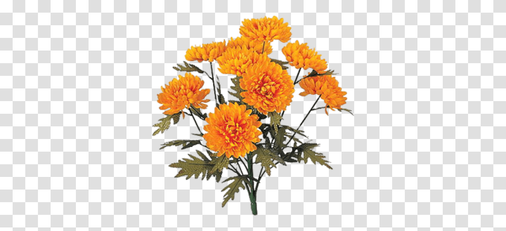 Marigold Icon Clipart Chrysanthemum Flowers, Plant, Dahlia, Asteraceae, Flower Arrangement Transparent Png