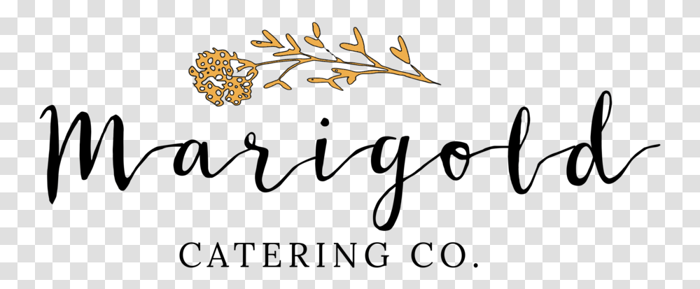 Marigold Main Logo Calligraphy, Leaf, Plant, Flower, Blossom Transparent Png