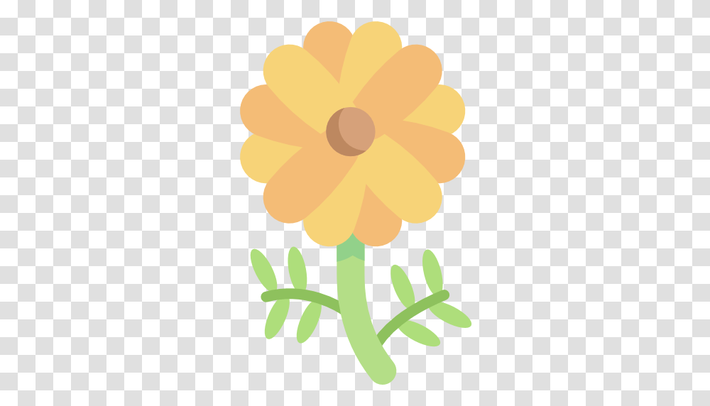Marigold, Plant, Flower, Dahlia, Daffodil Transparent Png