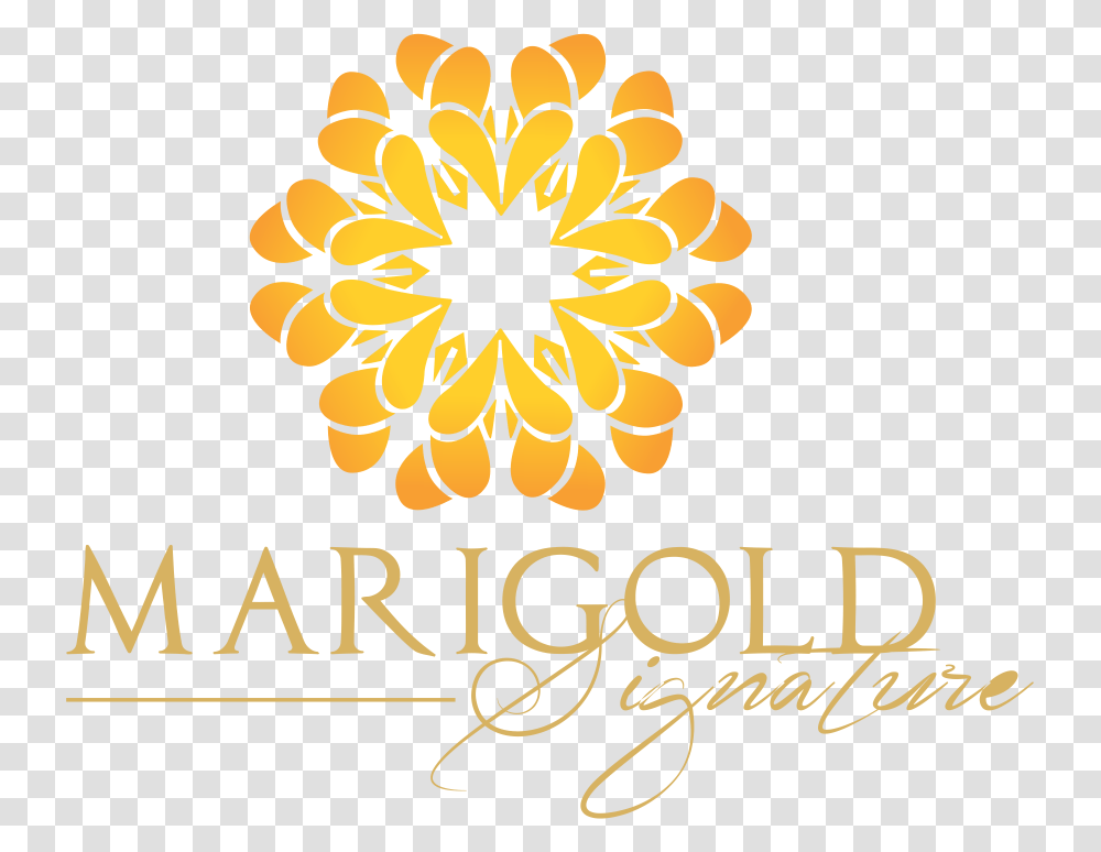 Marigold Signature, Floral Design, Pattern Transparent Png
