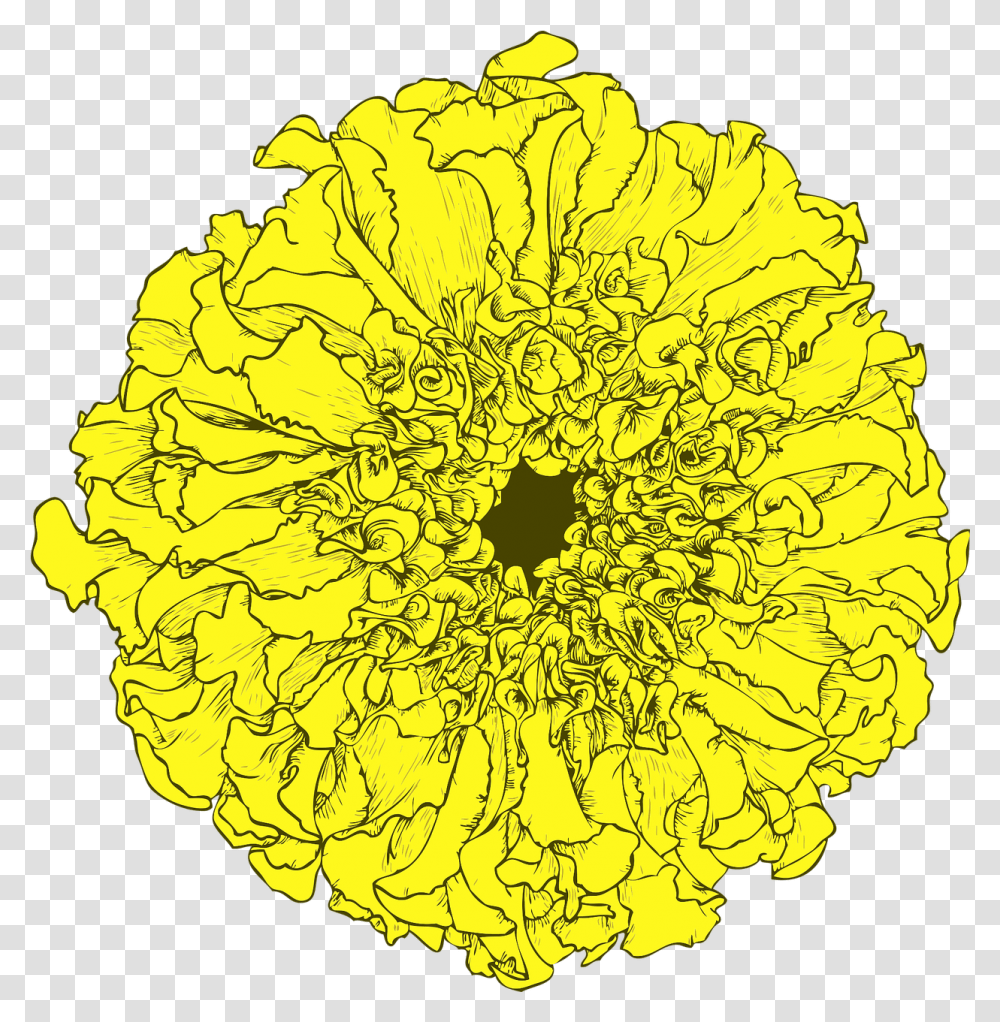 Marigold Tagetes Flower Cartoon Dia De Los Muertos Flowers, Pattern, Plant, Ornament, Fractal Transparent Png